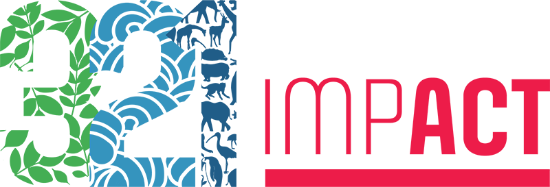 321 Impact Logo